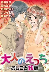 大人のえっち〜おしごとH編〜