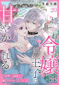 嫌われ令嬢は銀の王子に甘やかされる〜復讐から溺愛までお任せください〜【単話売】 20話
