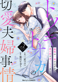 トツキトオカの切愛夫婦事情〜最後の一夜のはずが、愛の証を身ごもりました〜2巻