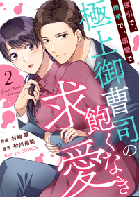 強引で、勝手で、溺愛で〜極上御曹司の飽くなき求愛〜2巻