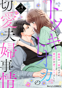 トツキトオカの切愛夫婦事情〜最後の一夜のはずが、愛の証を身ごもりました〜4巻