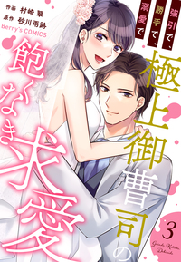 強引で、勝手で、溺愛で〜極上御曹司の飽くなき求愛〜3巻