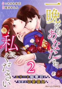 一晩だけあなたを私にください〜エリート御曹司と秘密の切愛懐妊〜2巻