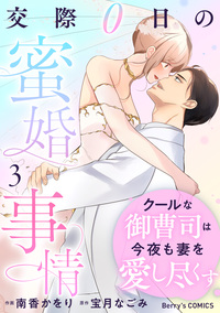 クールな御曹司は今夜も妻を愛し尽くす〜交際0日の蜜婚事情〜3巻