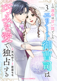 この運命は甘い罠でした〜エリート御曹司は巧みな愛で独占する〜3巻