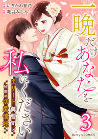一晩だけあなたを私にください〜エリート御曹司と秘密の切愛懐妊〜3巻