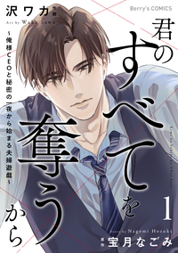 君のすべてを奪うから〜俺様CEOと秘密の一夜から始まる夫婦遊戯〜1巻