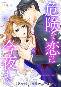 危険な恋は今夜まで〜禁断の味はチョコレートのように〜
