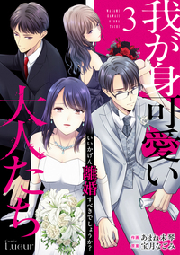 我が身可愛い大人たち 〜いいかげん離婚すべきでしょうか？〜3巻