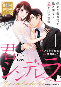 君はシンデレラ〜孤高な御曹司が絶え間なく愛を注ぐ理由〜【財閥御曹司シリーズ】1巻