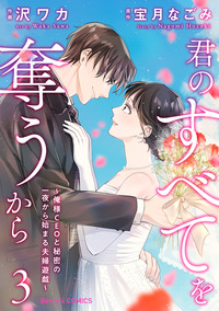 君のすべてを奪うから〜俺様CEOと秘密の一夜から始まる夫婦遊戯〜3巻