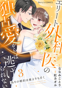 偽りの婚約は蜜よりも甘く〜エリート外科医の独占愛からは逃げられない〜３巻