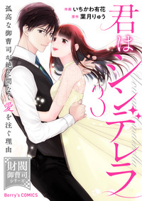 君はシンデレラ〜孤高な御曹司が絶え間なく愛を注ぐ理由〜【財閥御曹司シリーズ】3巻