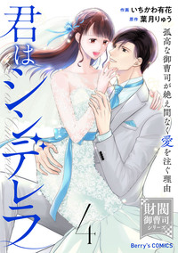 君はシンデレラ〜孤高な御曹司が絶え間なく愛を注ぐ理由〜【財閥御曹司シリーズ】4巻