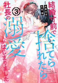 結婚寸前で捨てられたら社長の溺愛がはじまりました３