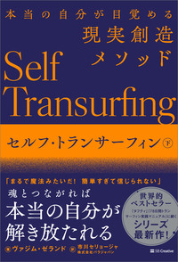 セルフ・トランサーフィン　下